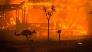 Australia se quema: Los incendios del norte del país ya han calcinado una superficie mayor a la de España