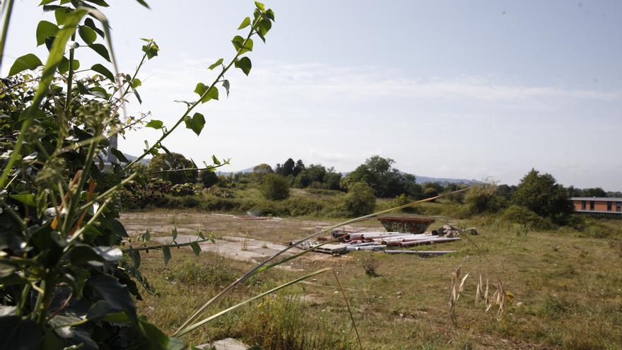 Obras colaterales en La Pecuaria: de una rotonda a un paso peatonal a la Laboral - Vimarsana News