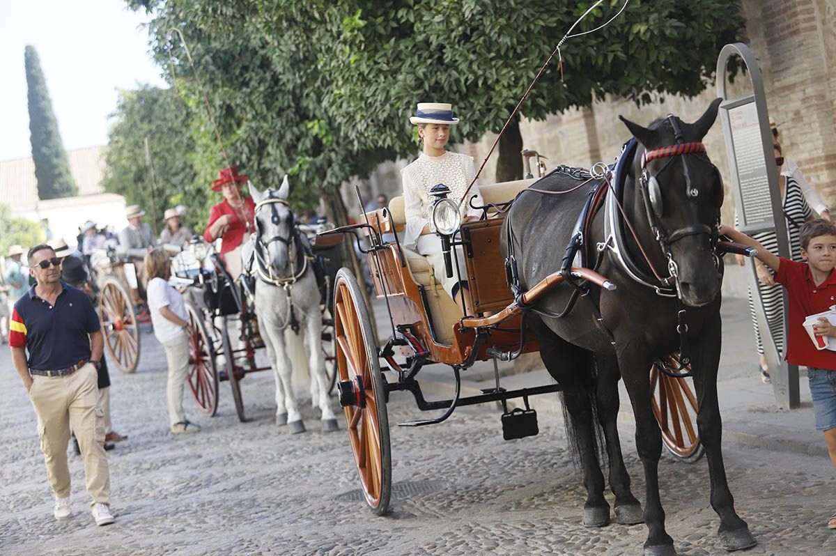 Concurso de atalaje de Córdoba en Cabalcor