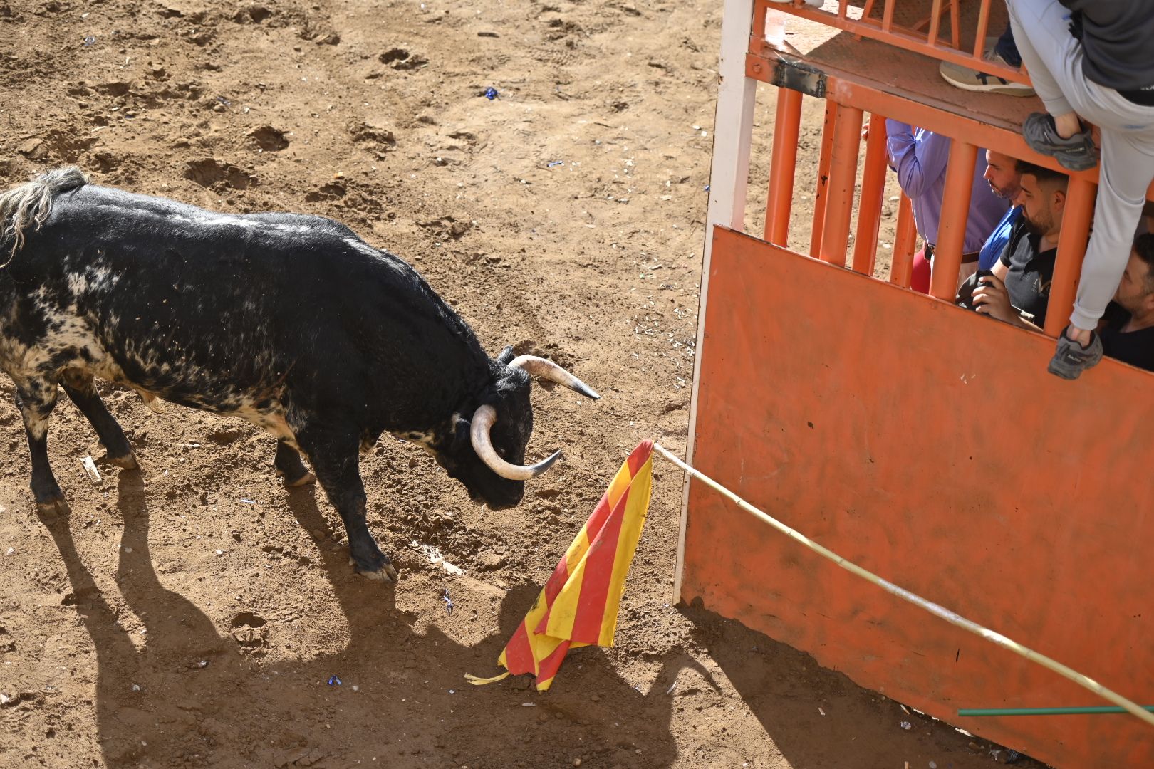 Galería | Primera tarde de toros en Almassora