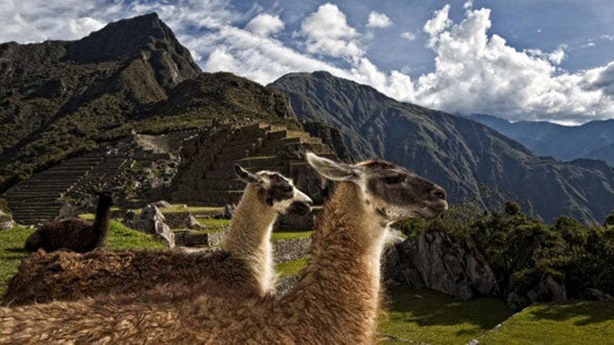 Perú, de los Andes a la selva