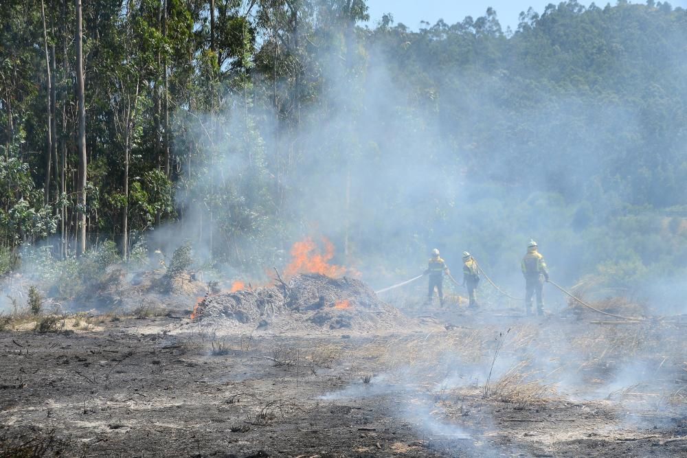 Un fuego quema 2.000 m2 al lado del Parque de Bomberos //G.N.