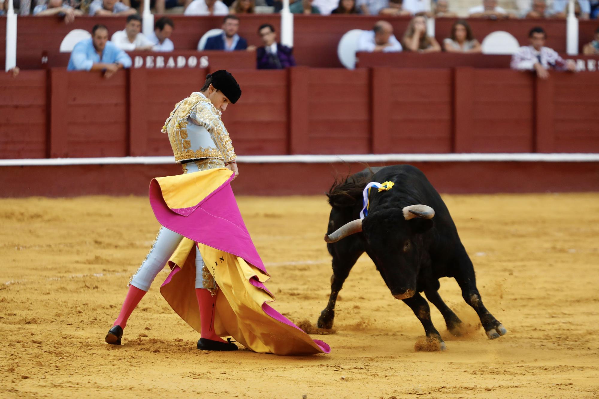 Fotos de la novillada que abre la feria taurina de Málaga