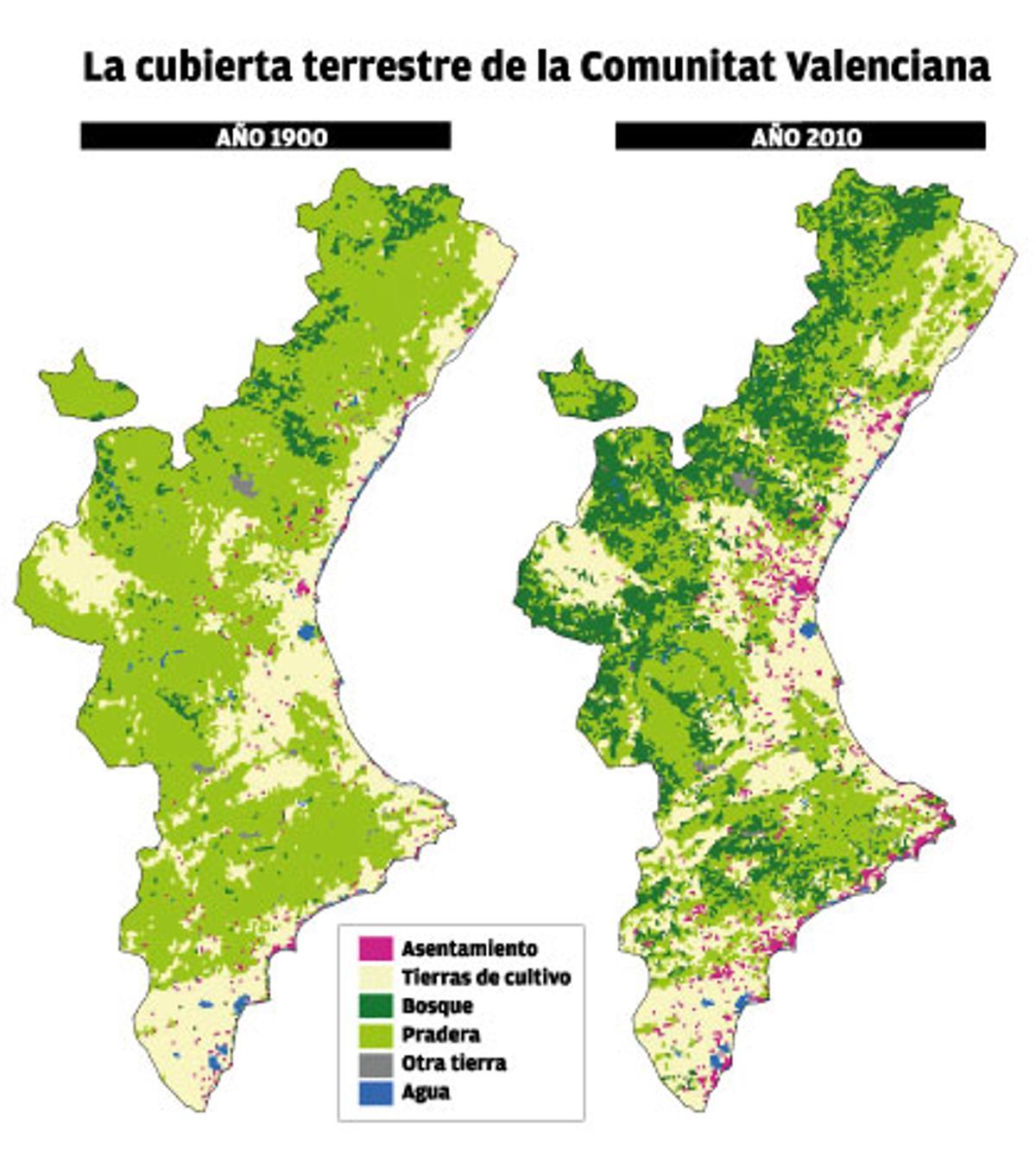 Más bosque que hace un siglo