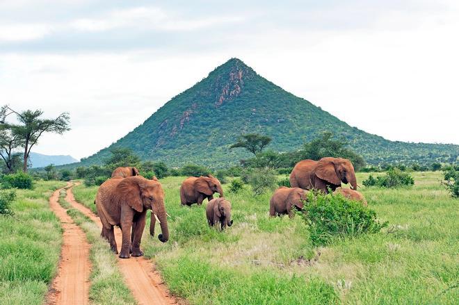 Reserva Nacional de Samburu, Kenia