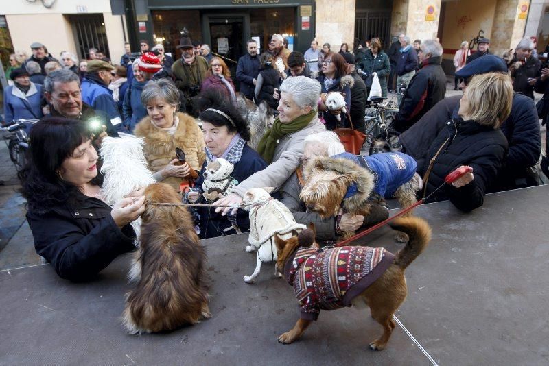 Celebración de San Antón, bendición de los animales