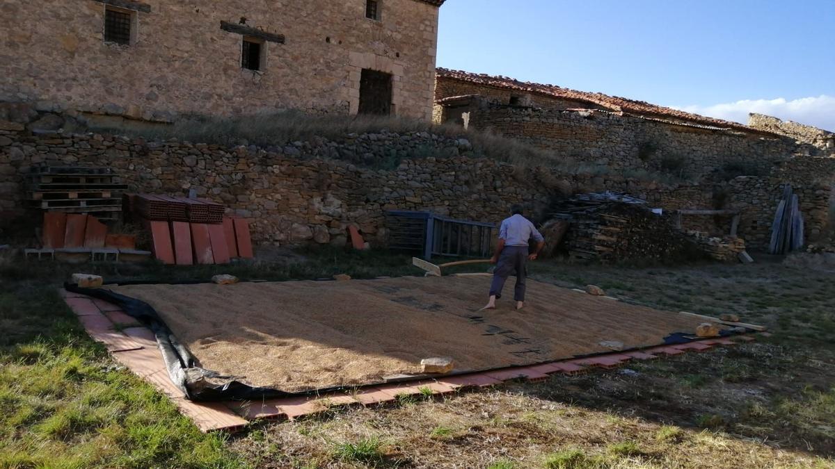 Molino donde se elaboran harinas ecológicas en altura