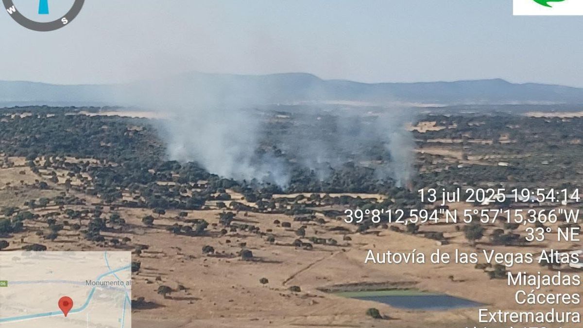 Incendio forestal en Miajadas.