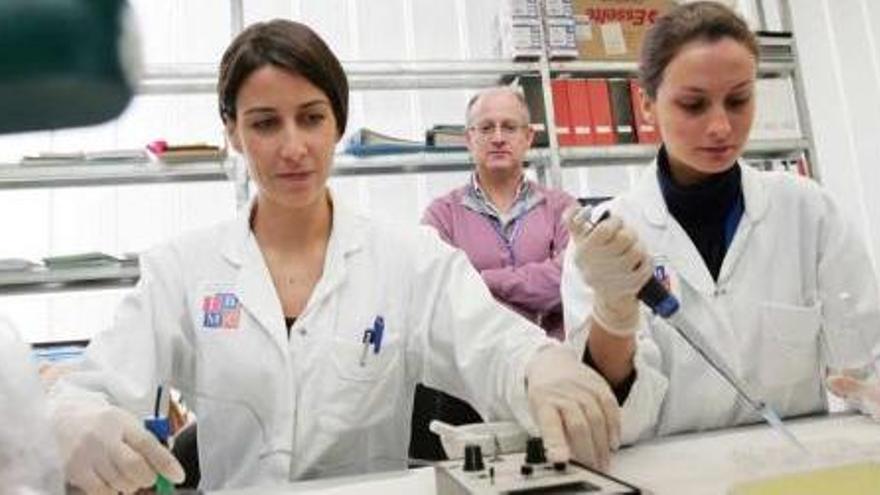 Investigadores del Instituto de Biología Molecular y Celular de la UMH, centro que ha posibilitado la creación de varias firmas