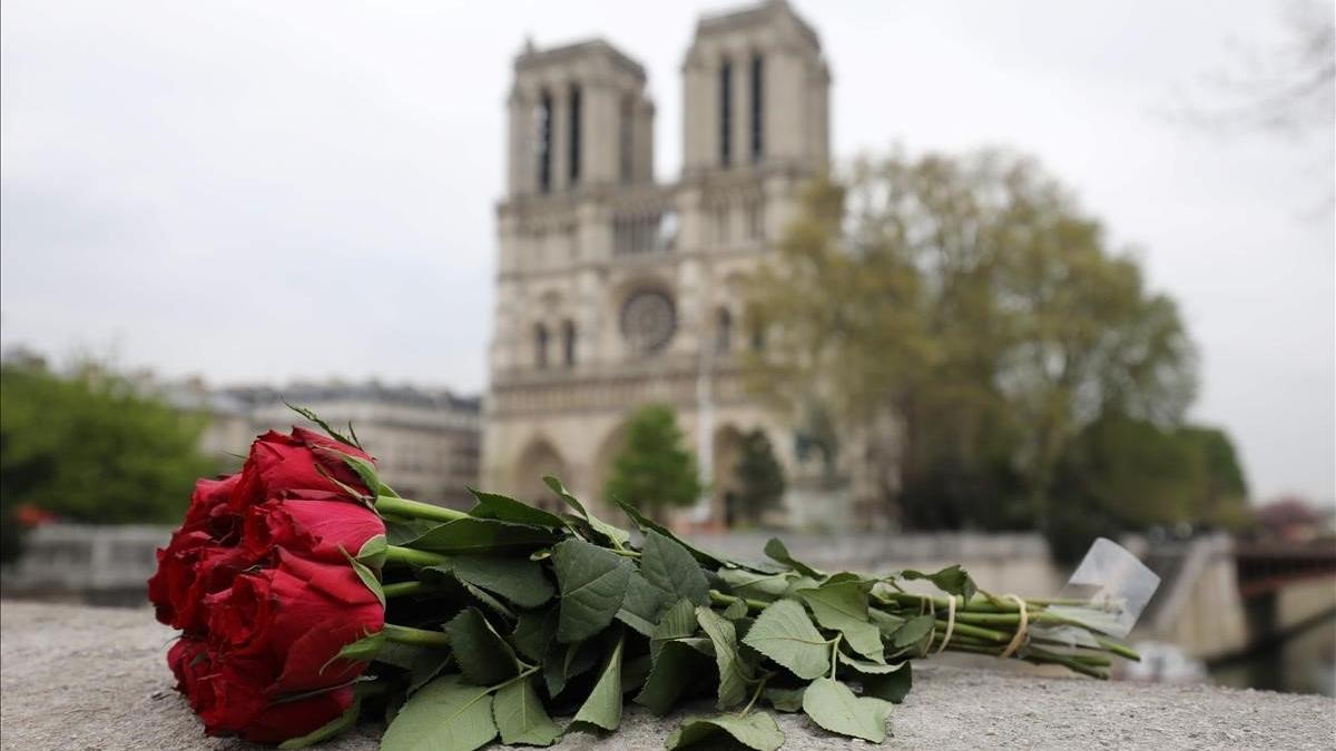 Una rosa depositada cerca de la catedral de Notre Dame, en París, un día después de la catástrofe.