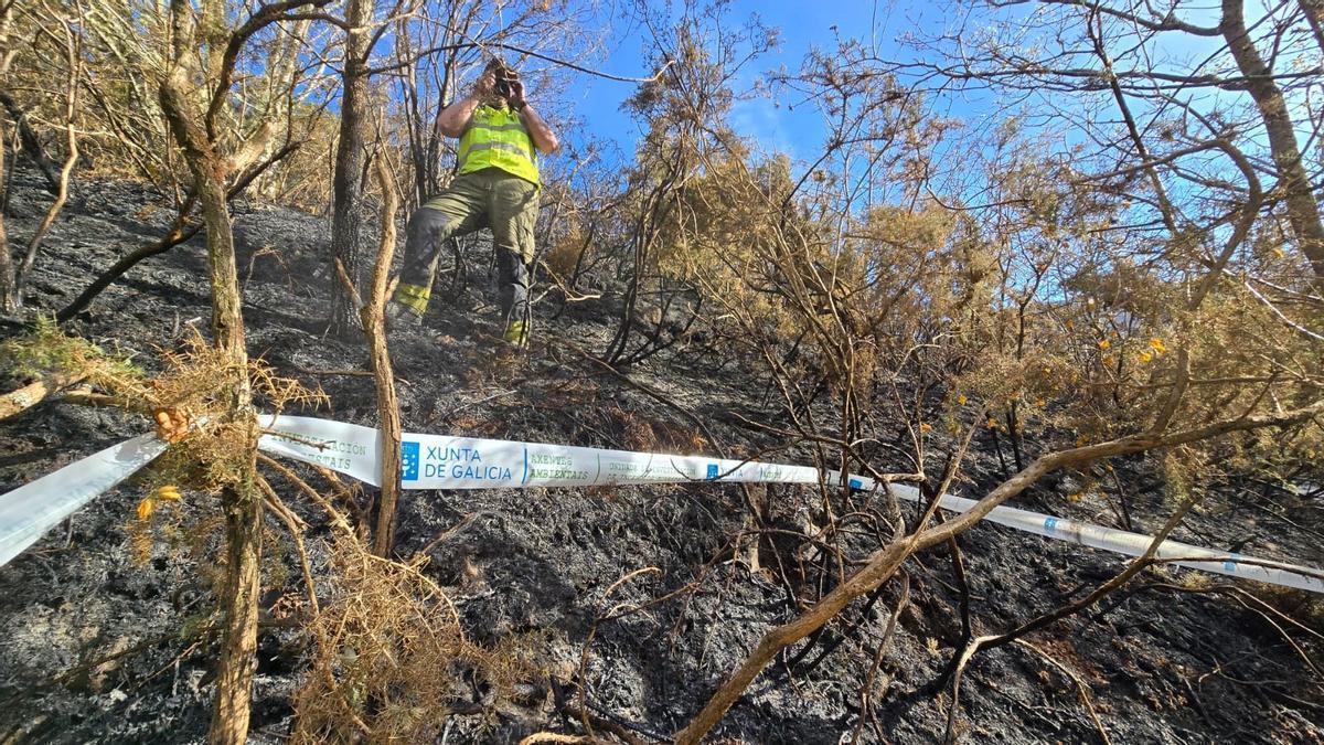 Investigación sobre el terreno en el marco de esta operación conjunta de la UIFO y la Policía Autonómica.