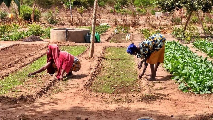 Dues dones treballant la terra al Senegal.