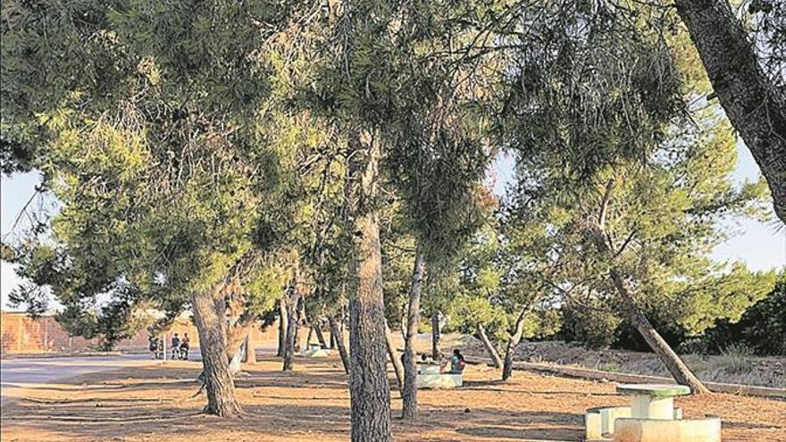 Nules habilitará una zona de pícnic en els Quatre Camins