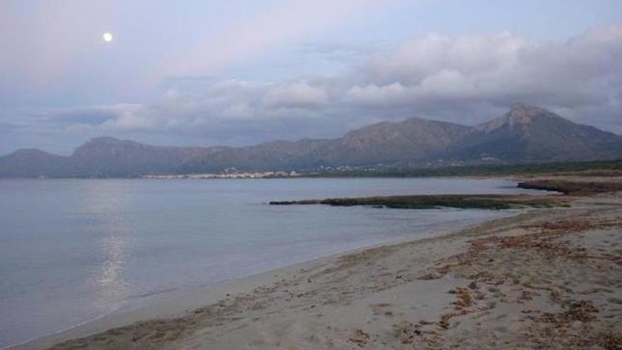 La playa de Son Serra de Marina es uno de los últimos arenales vírgenes del norte.