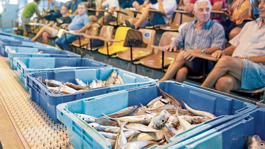 Crida a conèixer i tastar el peix procedent de la costa gironina