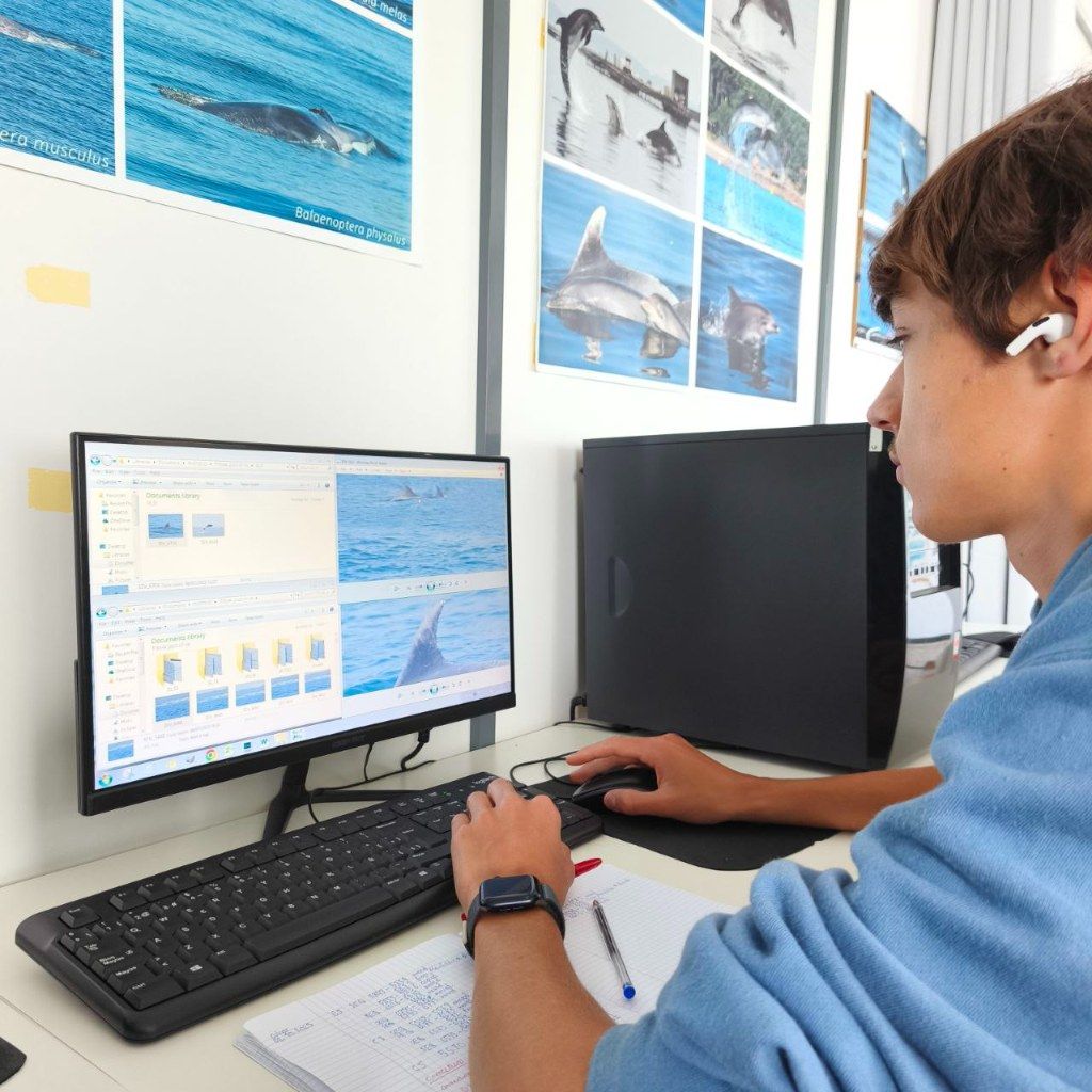 Biólogos, doctores y estudiantes del BDRI hacen un estrecho seguimiento de los mamíferos marinos en las rías de Vigo, Pontevedra y Arousa.