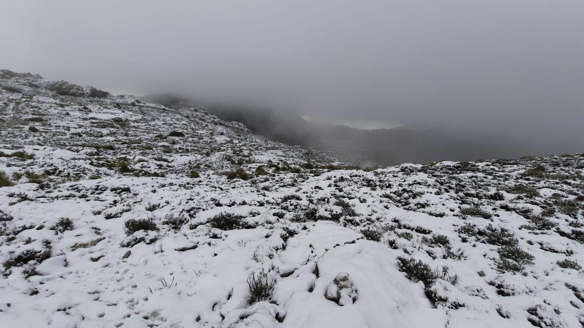 Las mejores imágenes de la nieve en la Serra de Tramuntana