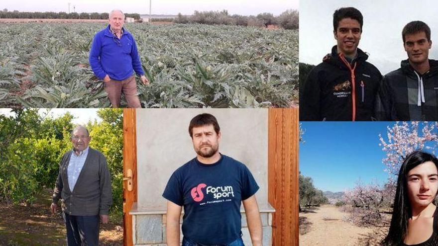 Este es el grito desesperado de los agricultores de Castellón