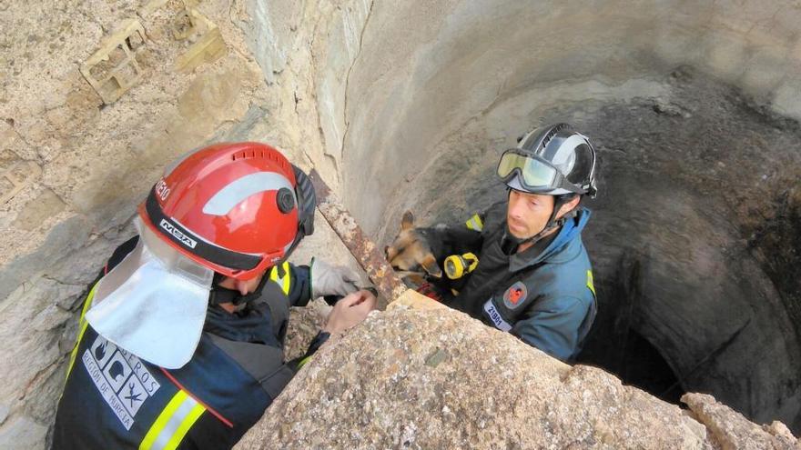 Los bomberos rescatan a un perro en Mula.