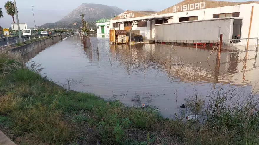 El agua del río Xúquer inunda el término de Tavernes de la Valldigna