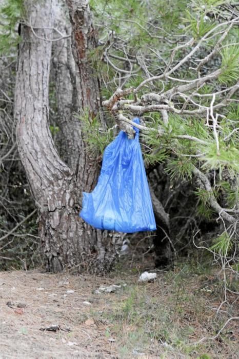 In Es Carnatge, dem letzten unverbauten Küstenabschnitt Palmas, aasten einst die Geier. Nun soll hier ein Park entstehen.