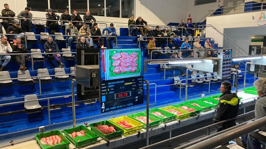 La rula de Avilés abre por primera vez en su historia un domingo para abastecer de pescado la Navidad (y no le ha ido mal)