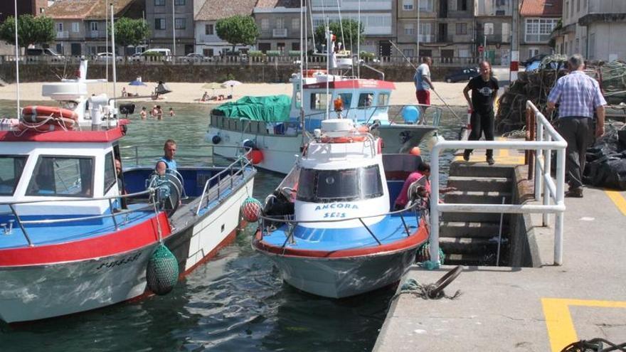 Barcos del pulpo de Bueu preparándose para salir a faenar.