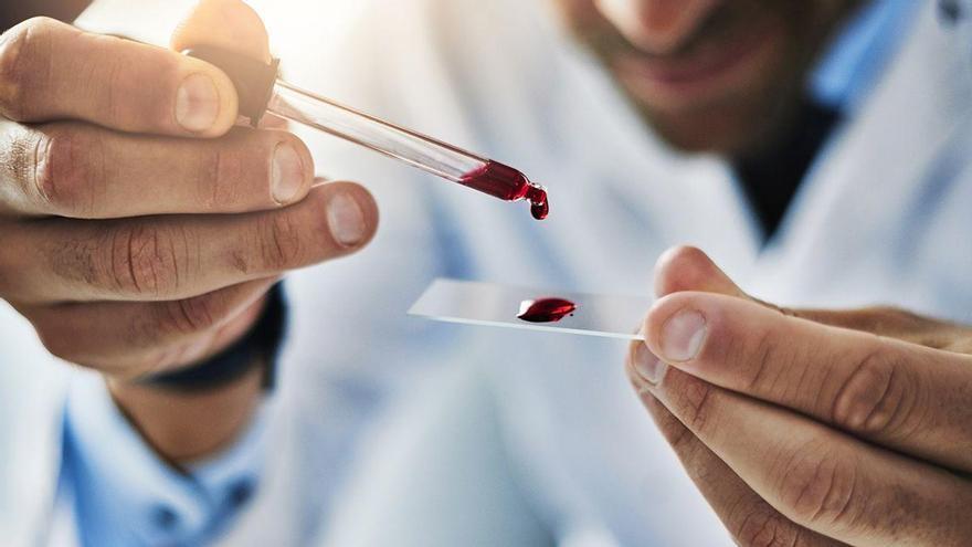 ¿Sabes todo lo que hace una gota de sangre mientras lees este artículo?