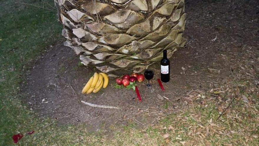 El misterio de las ofrendas de un parque de Los Castellanos