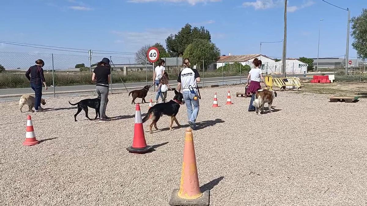 Un grupo de mujeres pasea junto a sus perros, en las instalaciones de Proyecto Escan, en Sucina.