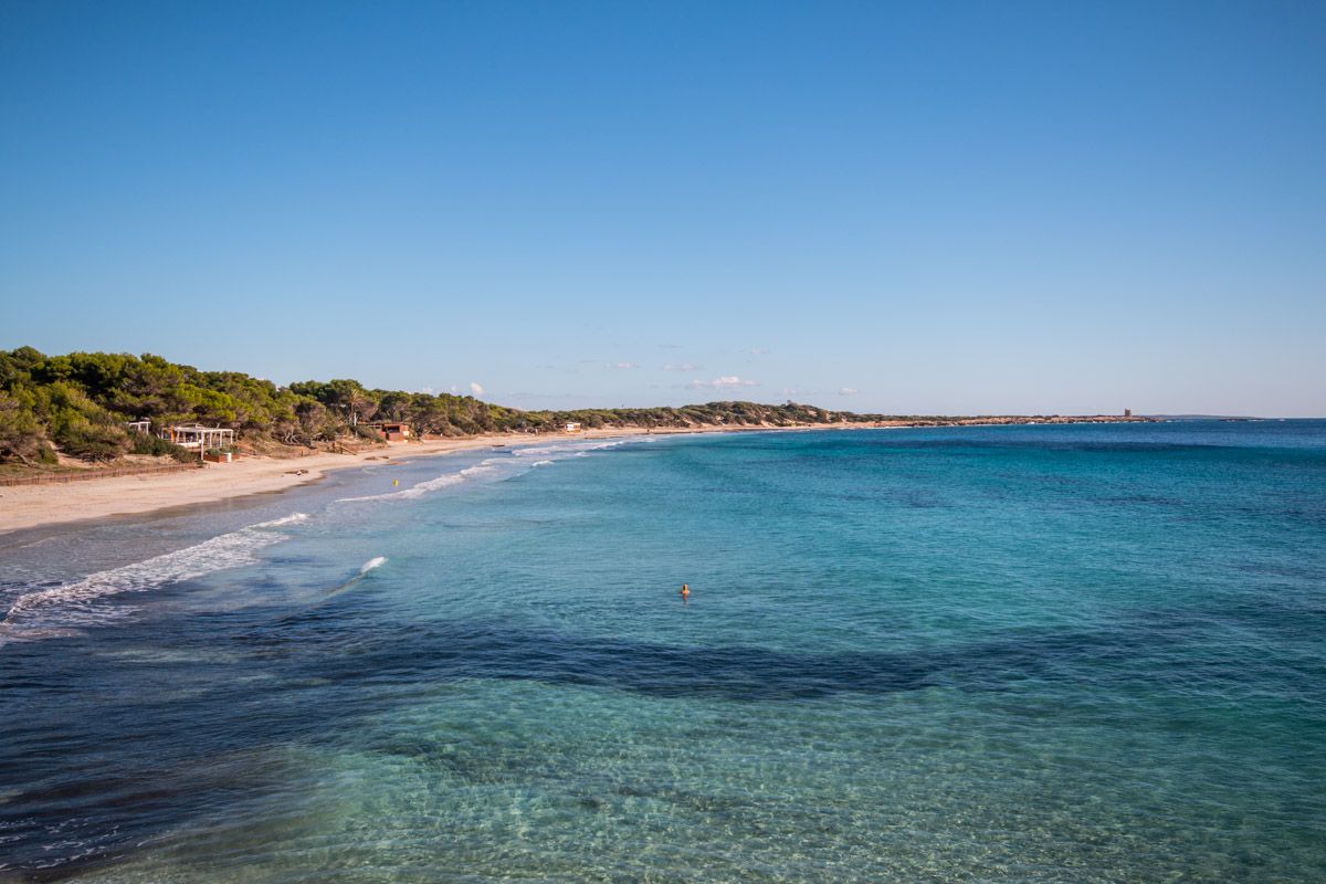 Ses Salines, una de las playas más bonitas de Ibiza