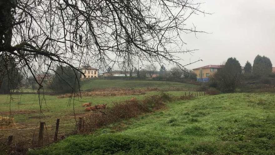 Terrenos de la zona de La Troncada.