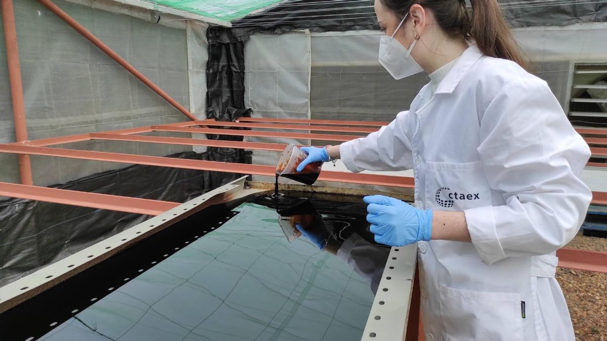 Laura Moreno, responsable de Proyectos de I+D en el Área de Ingeniería de Ctaex, con un dispositivo para el secado solar del alpechín.