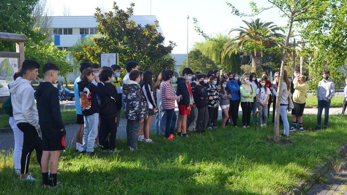 Más de 300 estudiantes de tres institutos recorren el arboreto del campus | DUVI
