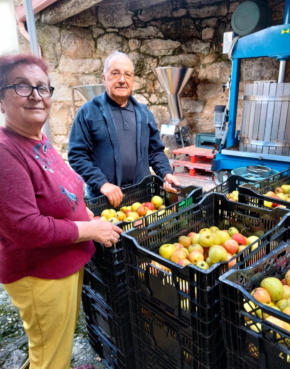 Trabajos para elaborar sidra en el Lagar Peroja.