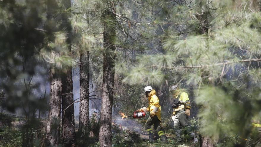 Andalucía entra en época de peligro alto de incendios forestales y prohíbe las barbacoas