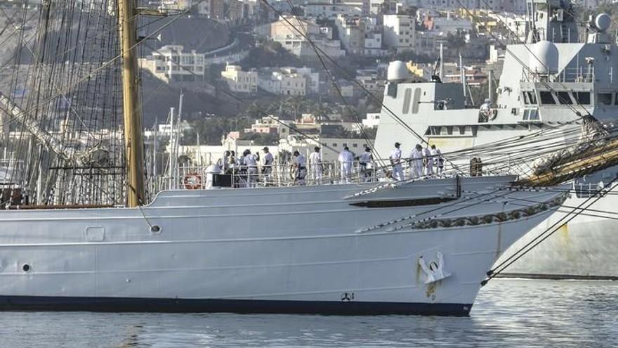 Un &#039;cisne blanco&#039; de Brasil se pasea por las aguas del Puerto de La Luz