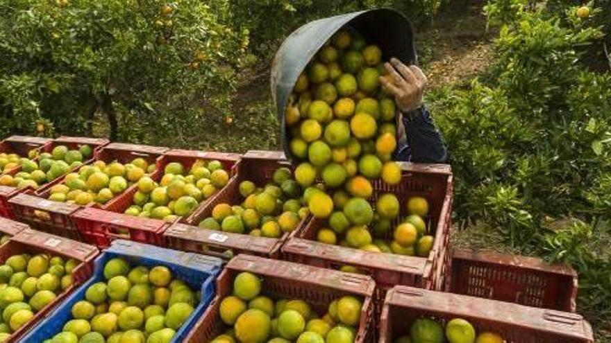 La inspección de Trabajo multa en seis meses a 790 empresas valencianas por 4,3 millones