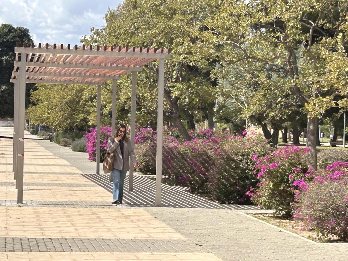 Nuevas zonas de sombra en la UA gracias a los presupuestos participativos