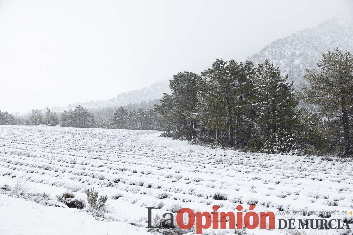 Continúa la nevada en las zonas altas de la comarca del Noroeste