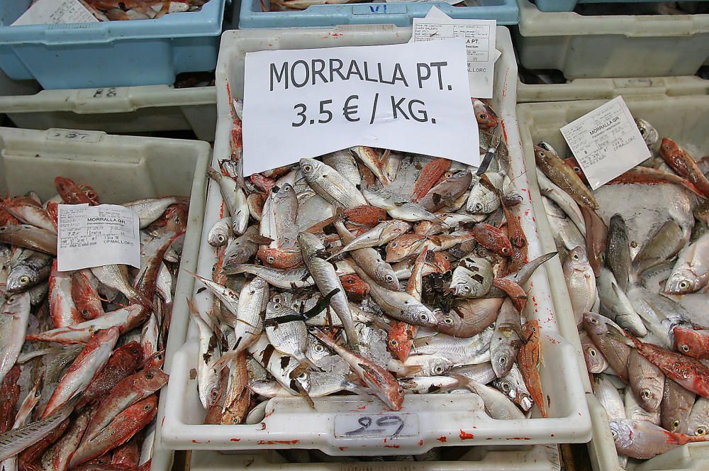 Morralla (Gemischter Beifang)