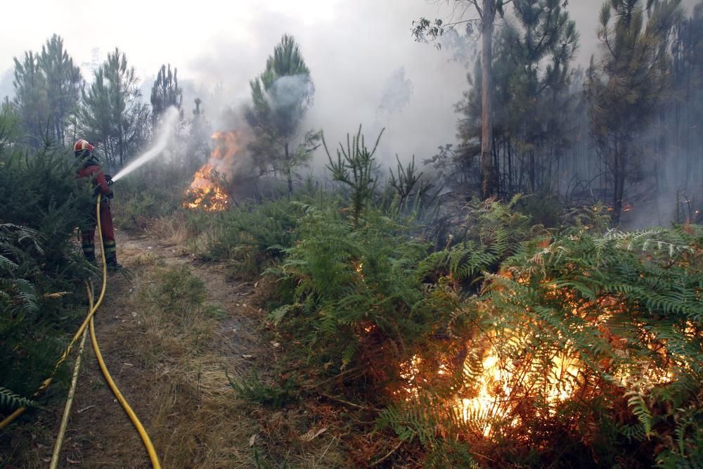 Arbo lucha contra el fuego