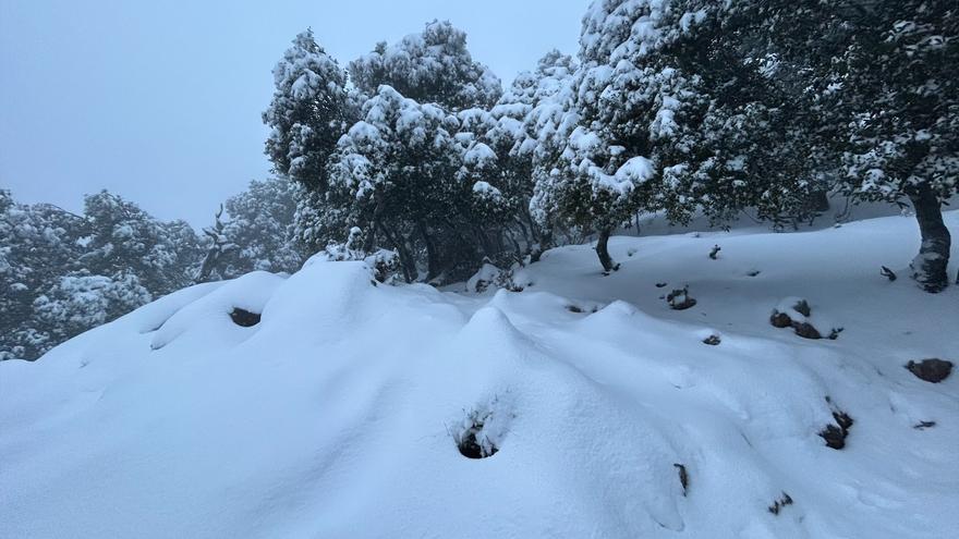 La Serra de Tramuntana, como una pista de esquí