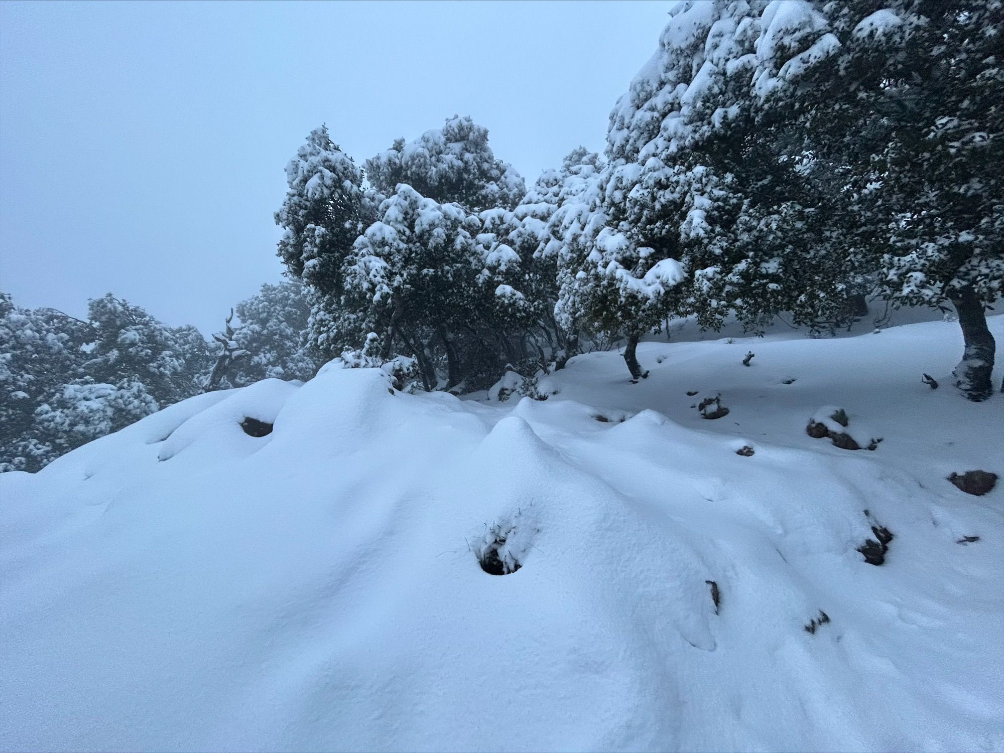 La Serra de Tramuntana, como una pista de esquí