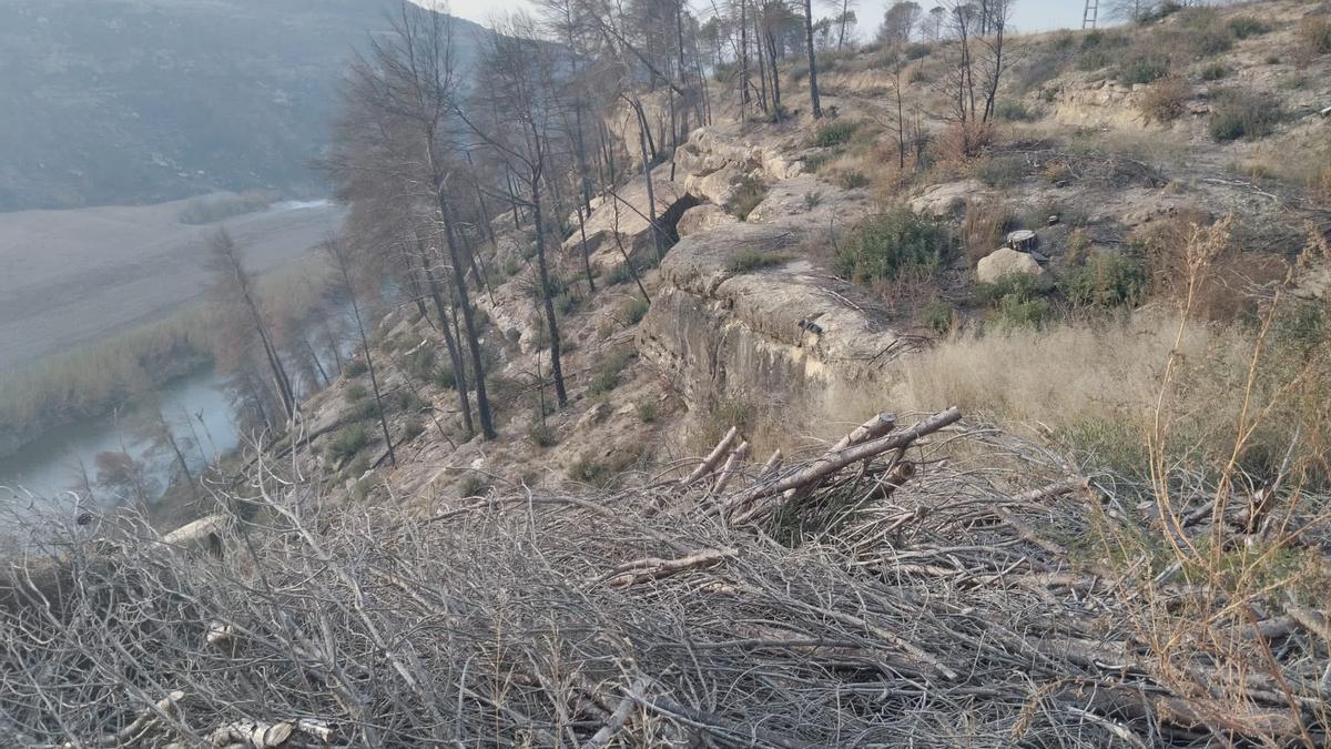 Zona de la Tolega, a les Brucardes de Sant Fruitós de Bages, afectada per l'incendi