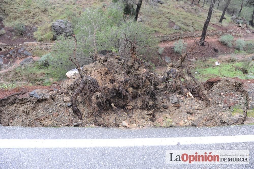 Las consecuencias del temporal en Murcia