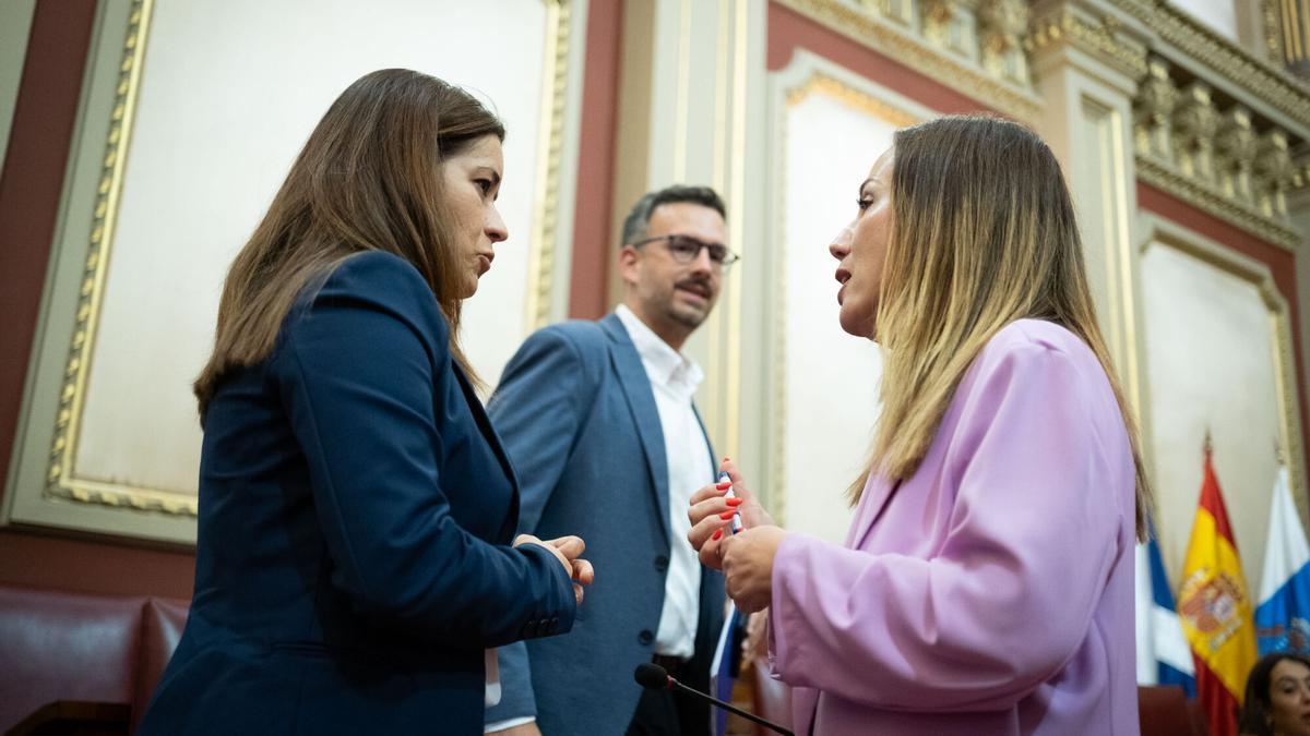 Pleno del Ayuntamiento de Santa Cruz