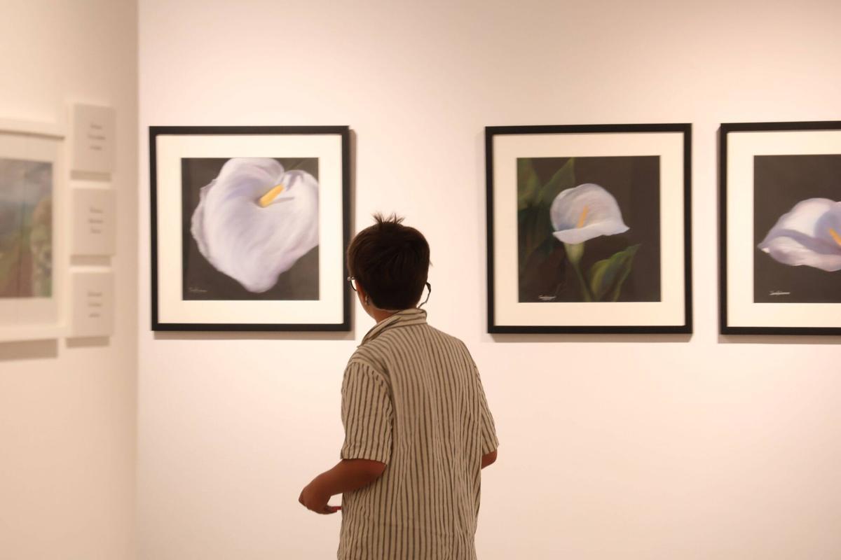 Exposición de Josefa Lozano