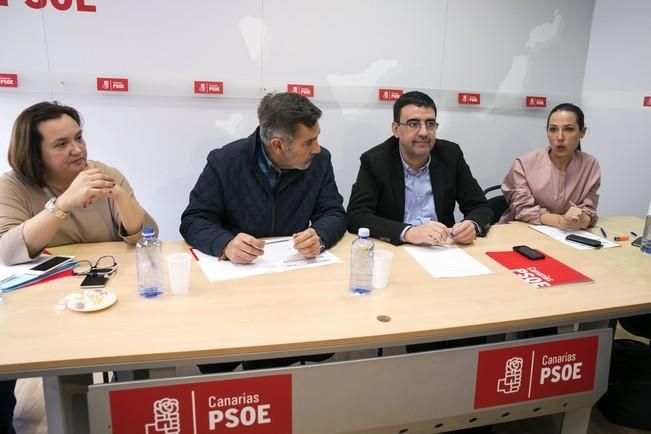 COMISIÓN GESTORA DEL PSOE EN CANARIAS