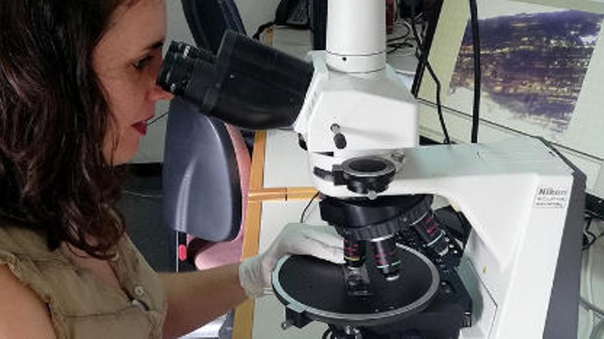 Paloma Vidal observa al microscopio una muestra de madera de un granero prehispánico. | FOTO: YURI MILLARES